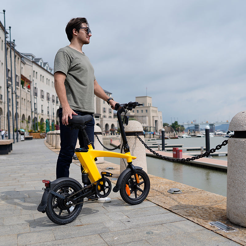 Lithium Ion Electric Bike H1 High Range Electrical Bicycles Removable Battery Electric Bicycle