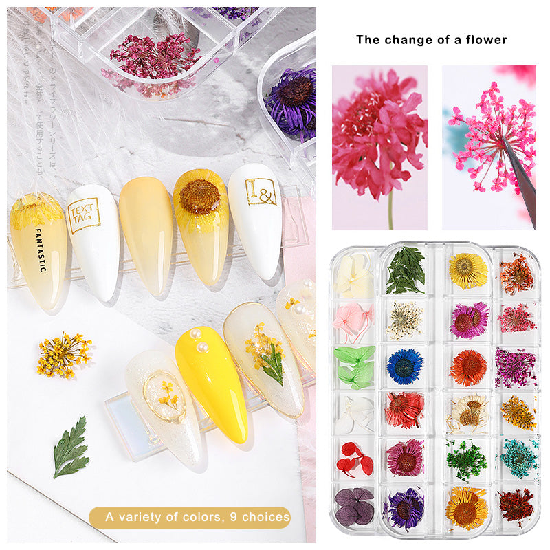 Mixed Real Dried Flowers Nail Art Decorated Sunflower Natural Floral Decals Manicure Nails Tip Dry Flower DIY Accessories F730