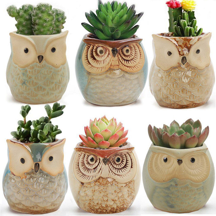 Free Ship Cartoon Owl shaped Flower Pot for Succulents Plants Flowerpot Ceramic Small Mini Home Garden Office Decoration