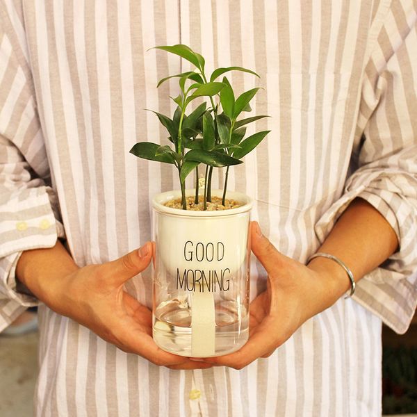 1pc Automatic Watering Planter Pot Ceramic Flowerpot with Glass Water Container for Green Plants Succulent Plant Cactus Y200709