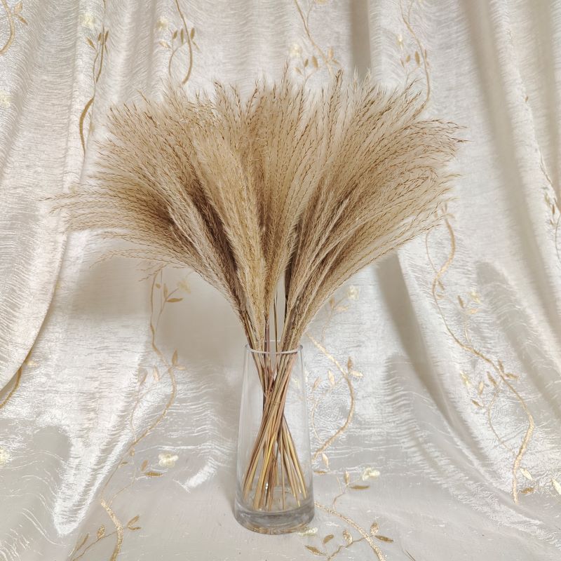 30 Stems Pampas Grass Fluffy Reed Dried Flower Wedding Decor Home Office Decoration