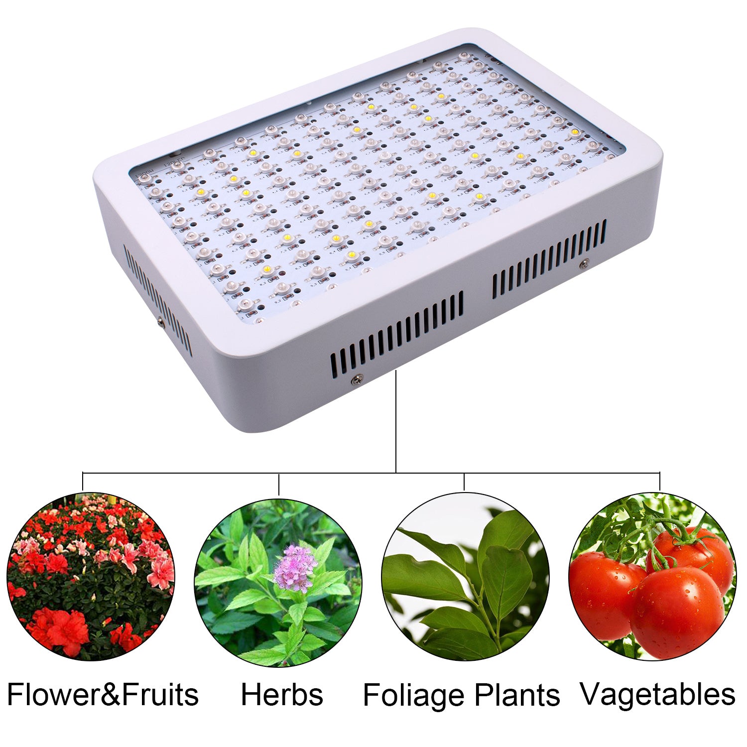 USA Stock Led Grow Light 600W Dual Chips Full Light Spectrum Plant Growth Lamp for Greenhouse Plant Flowering Grow Tent Lamp