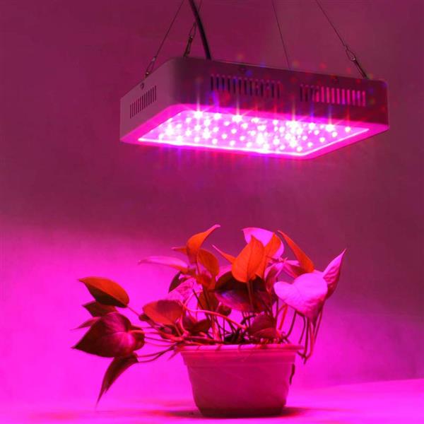 600W Dual Chips 380-730nm Full Light Spectrum LED Plant Growth Lamp White high quality Grow Lights Indoor