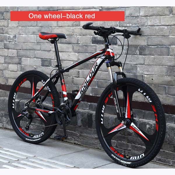 Mountain Bike 24 Inch For Teenagers And Female Adults