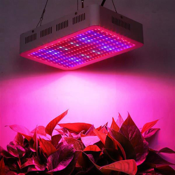 Newest Design 2000W Dual Chips 380-730nm Full Light Spectrum LED Plant Growth Lamp White Grow Lights wholesale Indoor