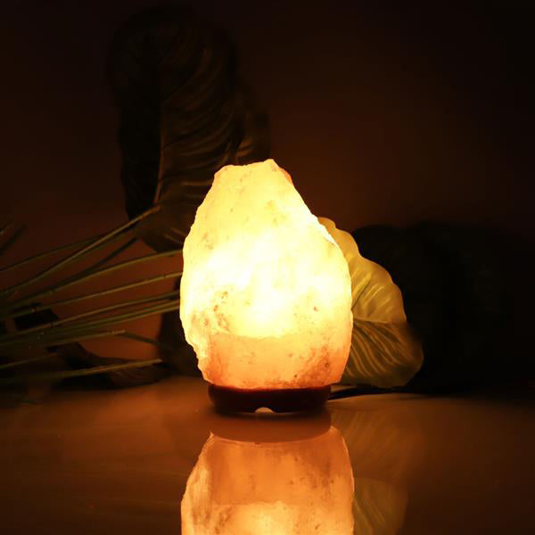 Premium Quality Himalayan Ionic Crystal Salt Rock Lamp with Dimmer Cable Cord Switch US Socket 1-2kg Night Lights wholesale
