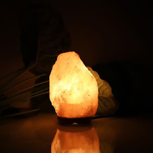 Brand new Premium Quality Himalayan Ionic Crystal Salt Rock Lamp with Dimmer Cable Cord Switch US Socket 1-2kg Night Lights wholesale
