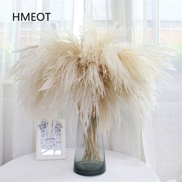 Pampas Grass Home Decor Reed Whisk Dried Flower Daisy Wedding Arrangement Christmas Plants Material Artificial Flowers 25pcs-lot 201203