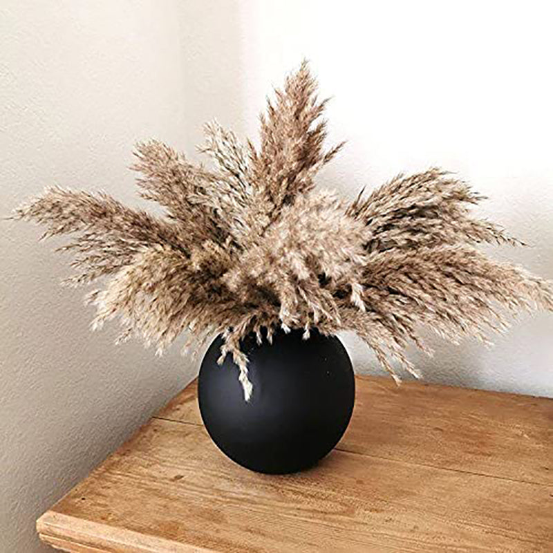 Pampas-Grass Pompous Dried Pampass Plants Fluffy Pompas Grasses 10-20-30 Stems Small Pompus Short Boho Decor Wedding Decoration