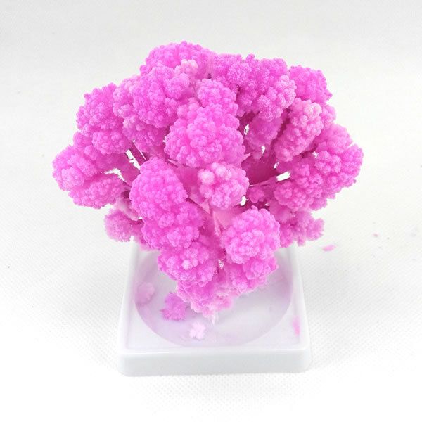 2017 10x8cm Arbre Magique Artificial Magical Grow Sakura Paper Trees Magic Growing Tree Educational Exploring Ability Developing Kids Toys