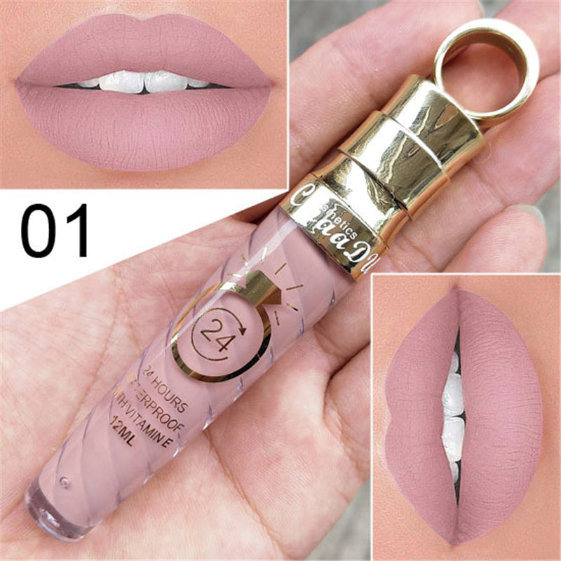 Lip Gloss Waterproof Long Lasting Matte Shimmer Mental Beauty Lipstick Nude Glitter Lips Makeup Beauty Wholesale
