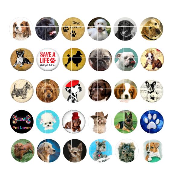 DOG Clasps & Hooks snap button charm popper for bracelet 30pcs - lot GL047 noosa,jewelry making supplier