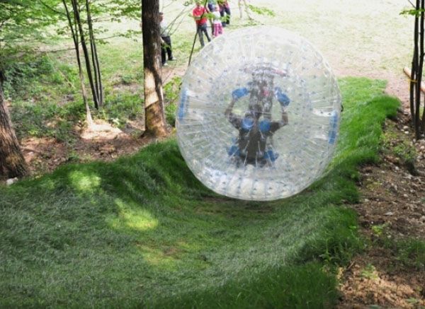 NewZealand Zorb ball inflatable ball Zorbing toys Human hamster ball 3M or 2.5M PVC or TPU for snow winter Free Ship