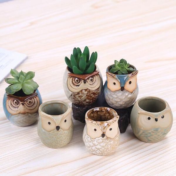 Cartoon Owl-shaped Flower Pot for Succulents Fleshy Plants Flowerpot Ceramic crafts Small Mini Home-Garden-Office Decoration