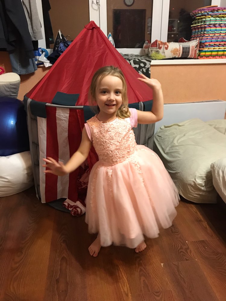 FADISTEE 2021 New Arrival pink Tulle Pretty Flower Girl Dresses soft lace Baby Girl Infant lace Dress Kids Formal Wear free shipping