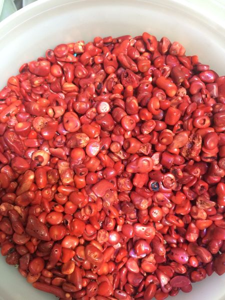 DingSheng Holiday gift 50g Natural Red Coral Quartz Crystal Rock Chips Healing stones minerals Freeform for Jewelry bracelet DIY Accessories