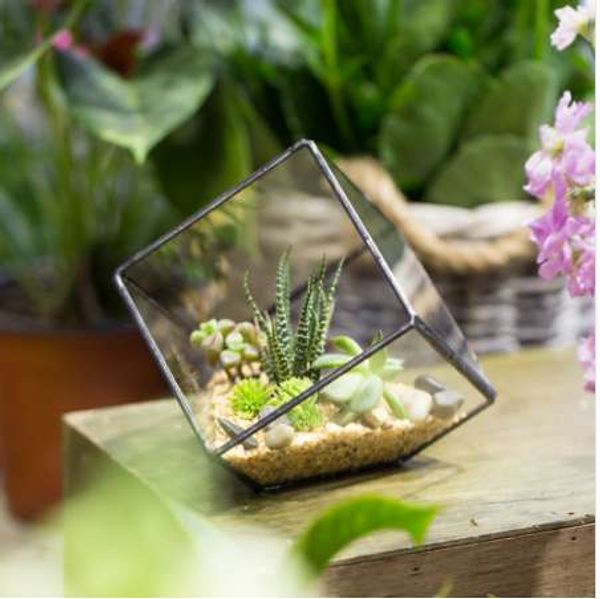 10cm Inclined Square Glass Geometric Terrarium Box Tabletop Flowerpot Garden Succulent Planter Balcony Plant Flower Pot Planter