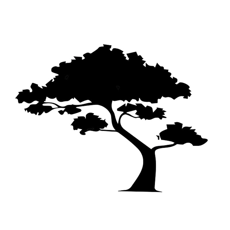 16*12.3cm BONSAI TREE DECAL CAR TRUCK WINDOW LAPTOP STICKERS Car Accessories Motorcycle Helmet Car Styling