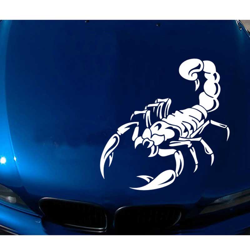 Car Stickers Scorpion Decals Hood Scratches Cover Front Rear Bumper Scratch Marks Films