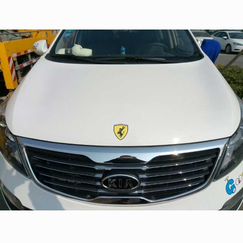 CAR for Ford Mustang for Farah Donkey Modified Car Stickers for Shelby Snake Mark 5.0 Leaf Graphics Decals