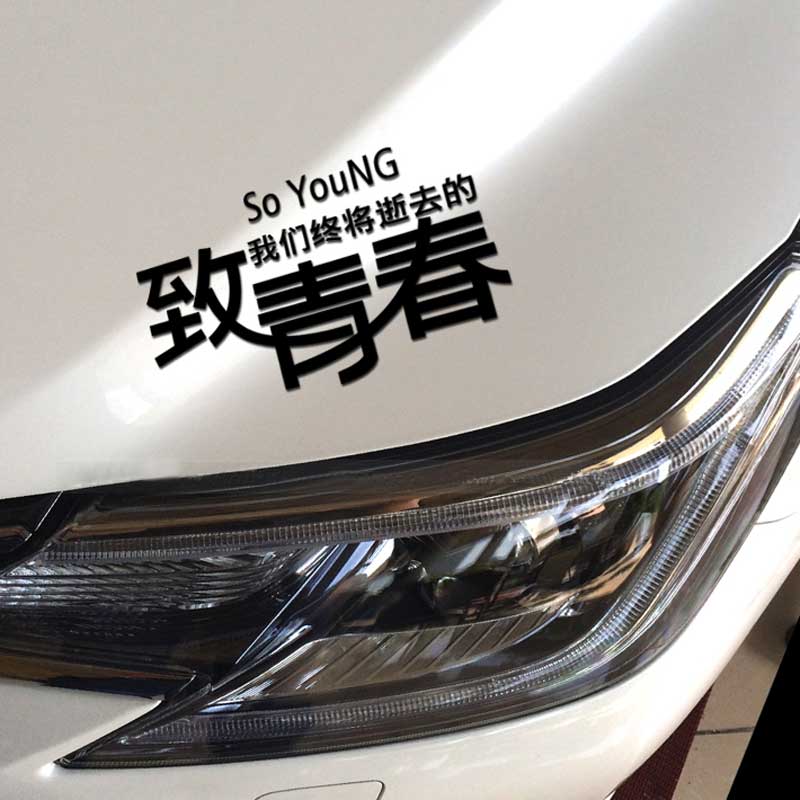 Car Motorcycle Cover Body Scratches Decals for So That We Will Eventually Die of Youth