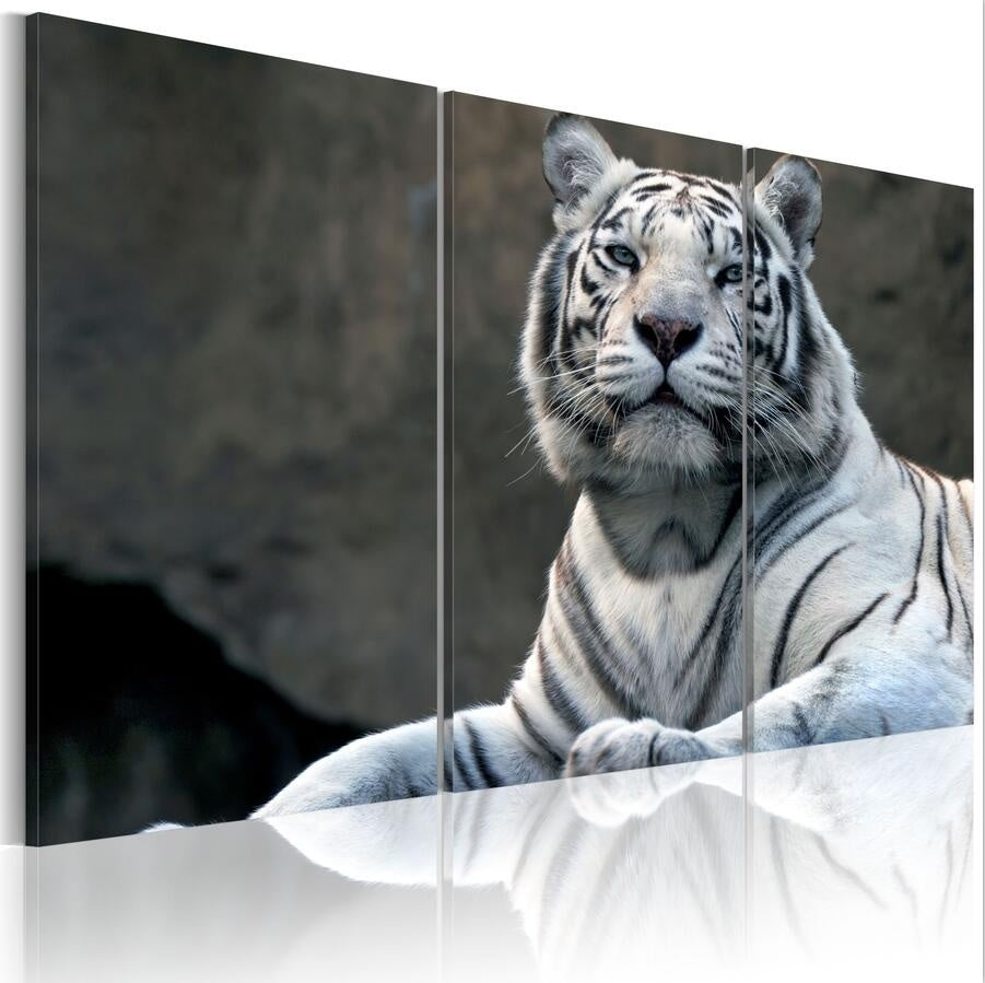 ( No Frame ) Canvas Print Modern Abstract White Tiger Poster Home Wall Decor Painting Canvas Printing Art HD Print Painting
