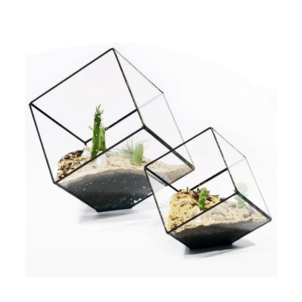 Modern Inclined Cube Succulent Terrarium Geometric Glass Planter for Fern Moss Wardian Case Flower Pot Container Black Gold