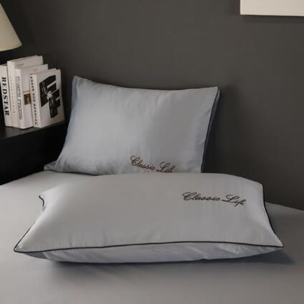 Mulberry Pillowcase Set of 2 100% Pure Envelope Silk Cases for Healthy Sleep - Soft, Coog, Anti-Aging Pillow Covers (Multicolor, 48x74cm)