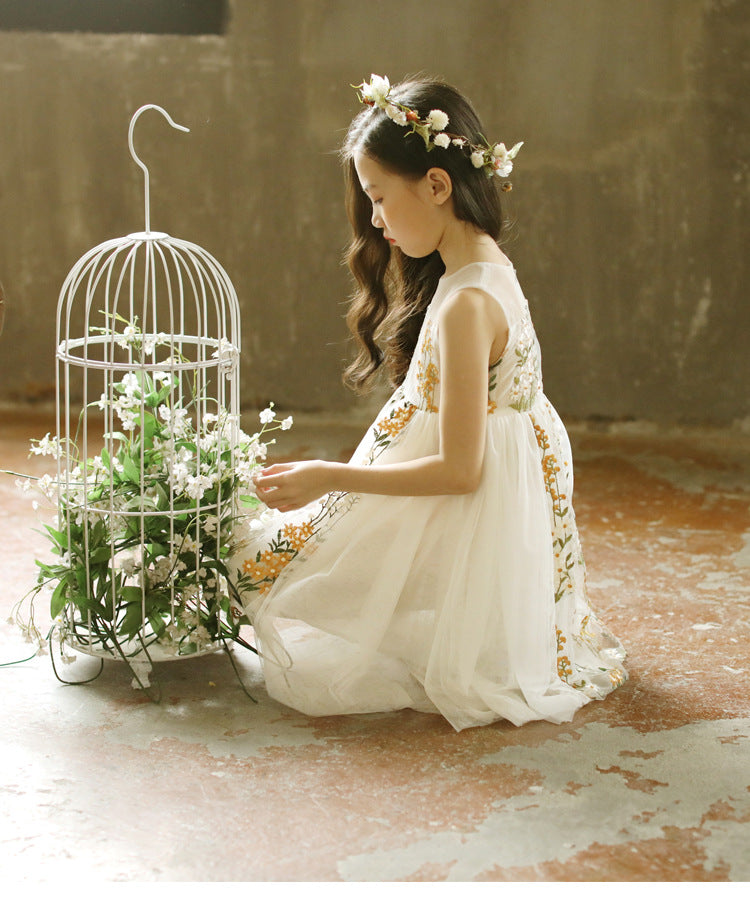 Children Designer Lace Dress Girls Brand Princess Dresses Girls Fashion Embroidered Dress Kids Luxury Summer Skirts 2020 New Fashion Wholesa