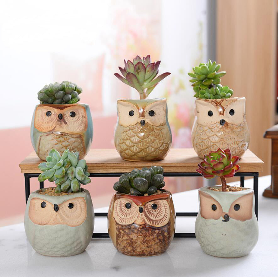 Cartoon Owl-shaped Flower Pot for Succulents Fleshy Plants Flowerpot Ceramic Small Mini Home-Garden-Office Decor 6 Style Choose