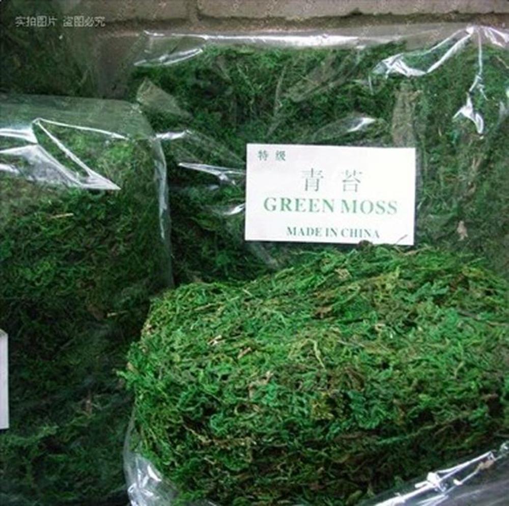 50g-bag Keep Dry Real Green Moss Decorative Plants Vase Artificial Turf Silk Flower Accessories For Flowerpot Decoration