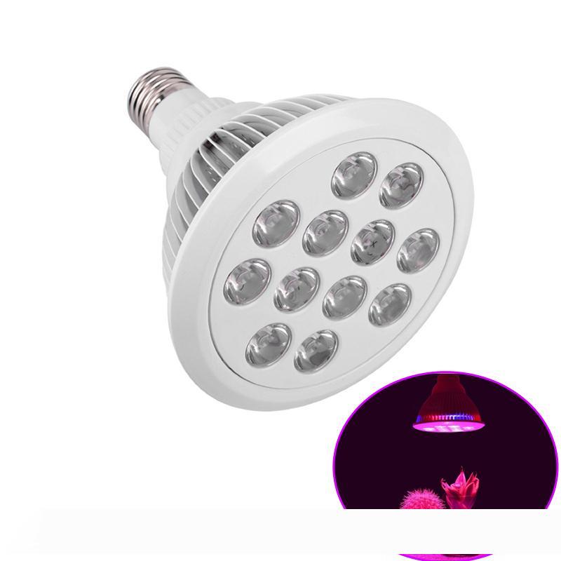 Led growing lights E27 12W 24w LED Plant Grow high power Light Bulb Indoor Plants Growth grow lights with CE ROHS certified