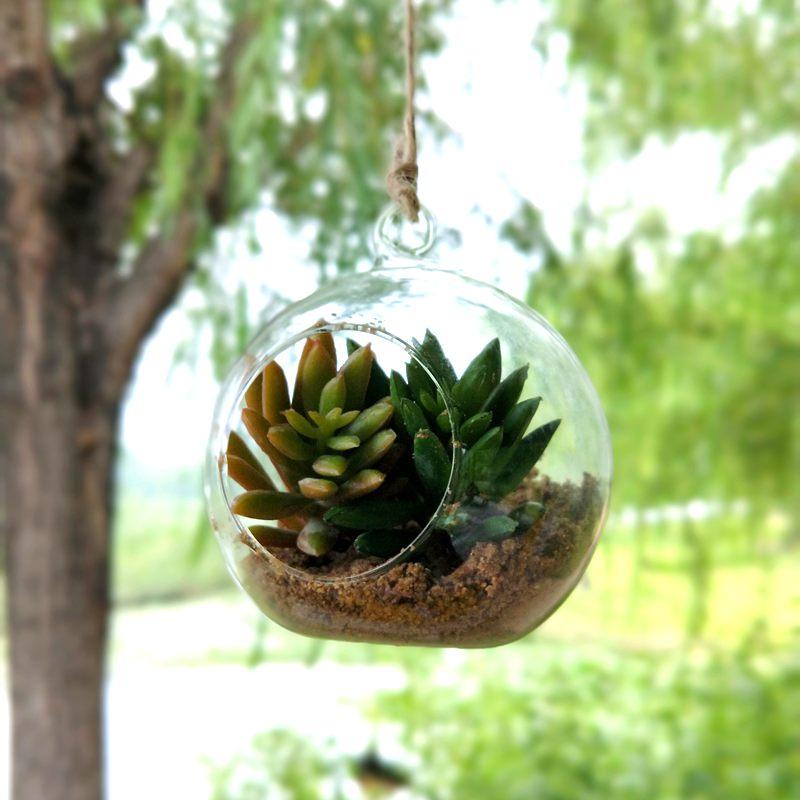 Creative Hanging Glass Vase Succulent Air Plant Display Terrarium,Decorative Clear Glass Globe, Hanging Air Plant Terrarium 100pcs-lot