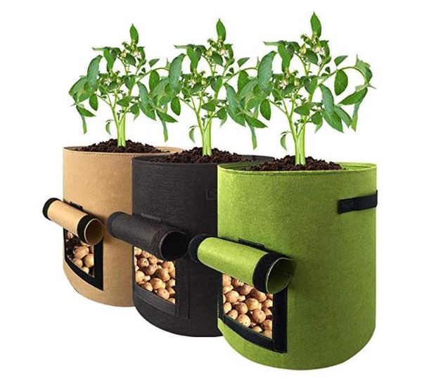 Non-Woven Plant Potato Grow Bag Reusable Highly Breathable Vegetables Grow Pots Felt Planting Bag Flower Planter 5 -7-10 Gallon large size