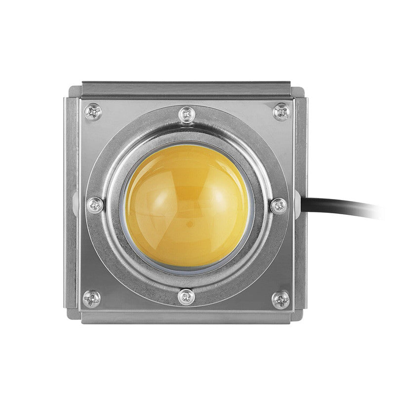 Wenyi 200W 3000K 4000K COB DIY kit full spectrum Led grow light For Indoor Plants Vegetables Flowers Greenhouse