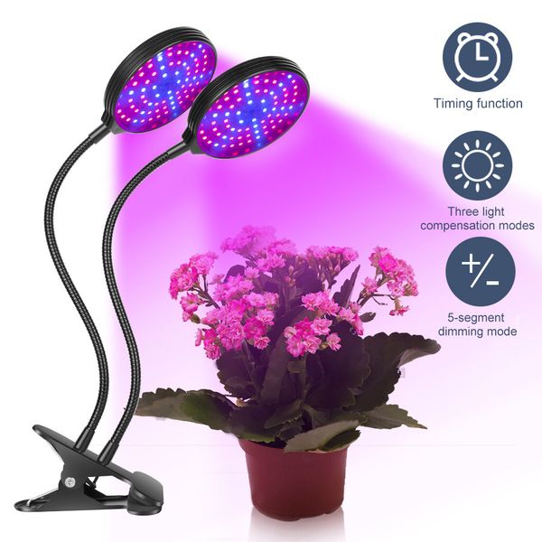 Led Grow Light Grow Tent Growing Box Lamp Cultivo Indoor Cob Led Full Spectrum Plant Light 2PC-LOT,5PC-LOTPC