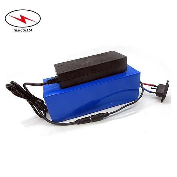 Electric Bike Lithium Ion Battery Pack 48v 20ah 1000w e Bike Bateria with 2A Charger