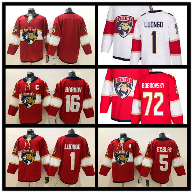 2019 Custom Florida Panthers Newest Hockey 1 Roberto Luongo 16 Aleksander Barkov 5 Aaron Ekblad Red White Hockey Jerseys SHIRT uniform