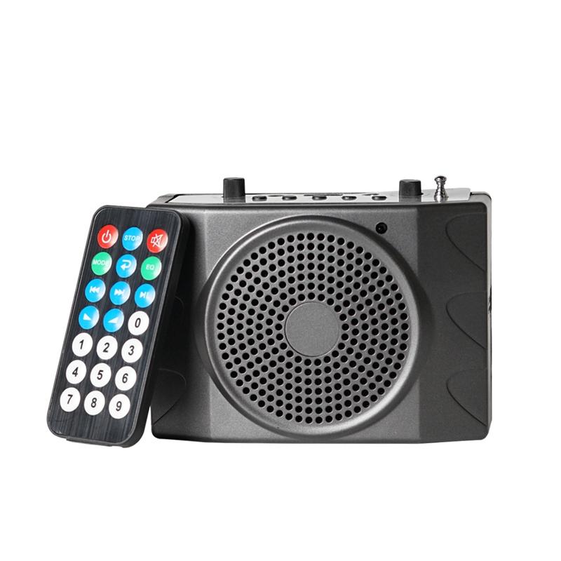& MP4 Players Karaoke Player Portable Speaker Wireless Radio FM Card (US PLUG)