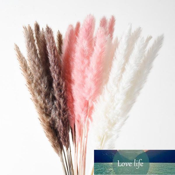 Decorative Flowers & Wreaths 10Pcs Real Dried Reed Plants Bouquet Home Decor Natural Pampas Grass Wedding Decoration Dining Table For Room S
