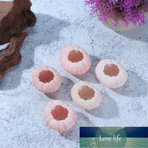 5 Pcs Above 4CM Sea Urchin Shells Conch Shells Tillandsia Containers DIY Handmade Air Plants Planting Pots (Random Color)