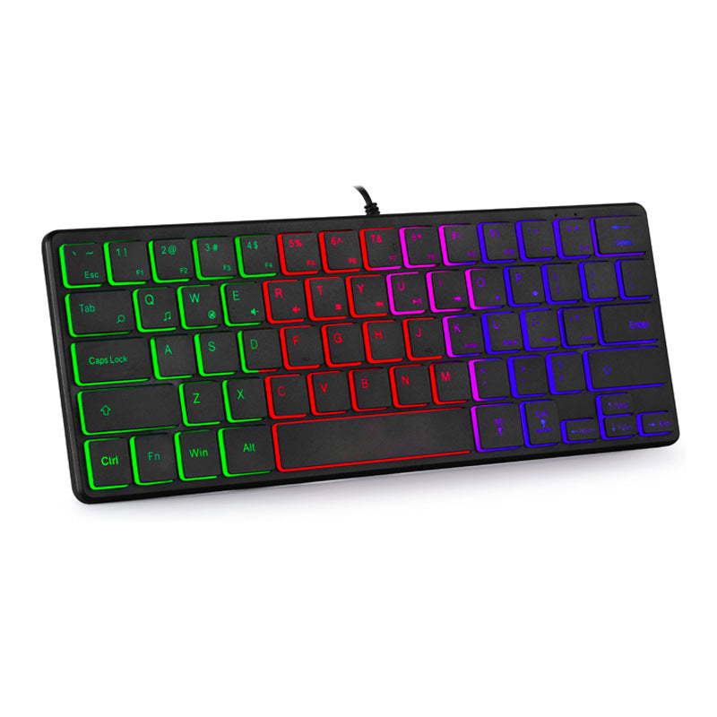 streamlined 60% form factor Wired RGB Mini Keyboard, Quiet Ergonomic Mechanical Feeling Small Keyboard for Work,Gaming,Office