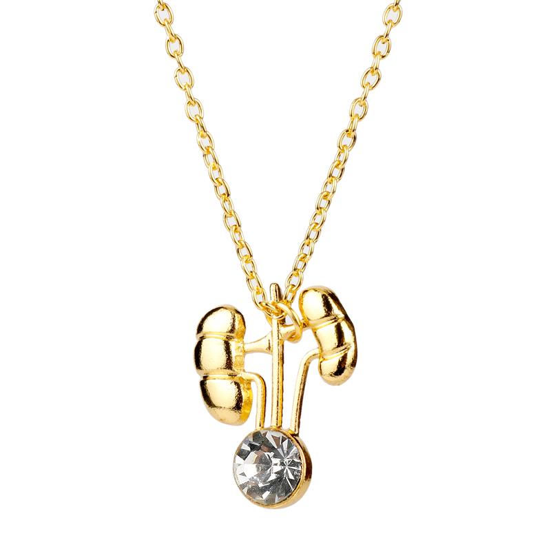 Pendant Necklaces Kidney Shape Necklace Jewelry Gift For Nephrologist-Doctors Gold Color With Crystal Jewellery Hormones
