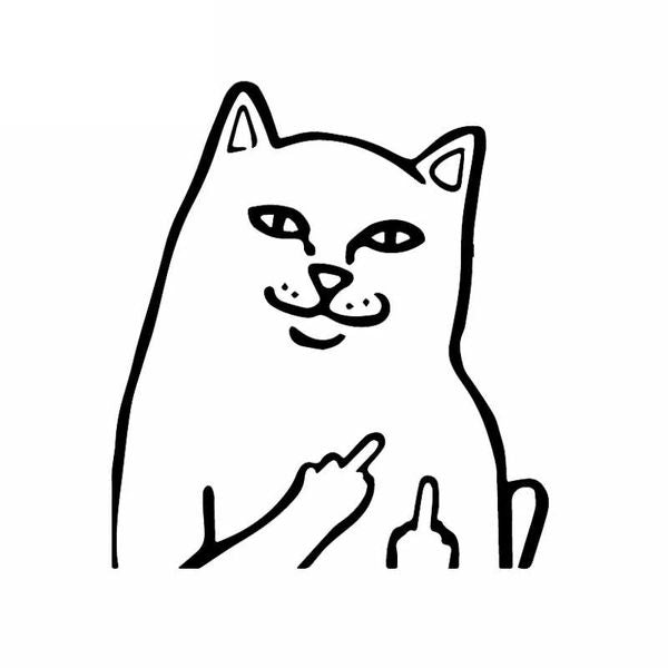 Funny Cat Cartoon Car Sticker Rude Middle Finger Cats Vinyl Decals For Auto Mercedes Motorcycle Windows Decoration Door Office Home Wall Acc