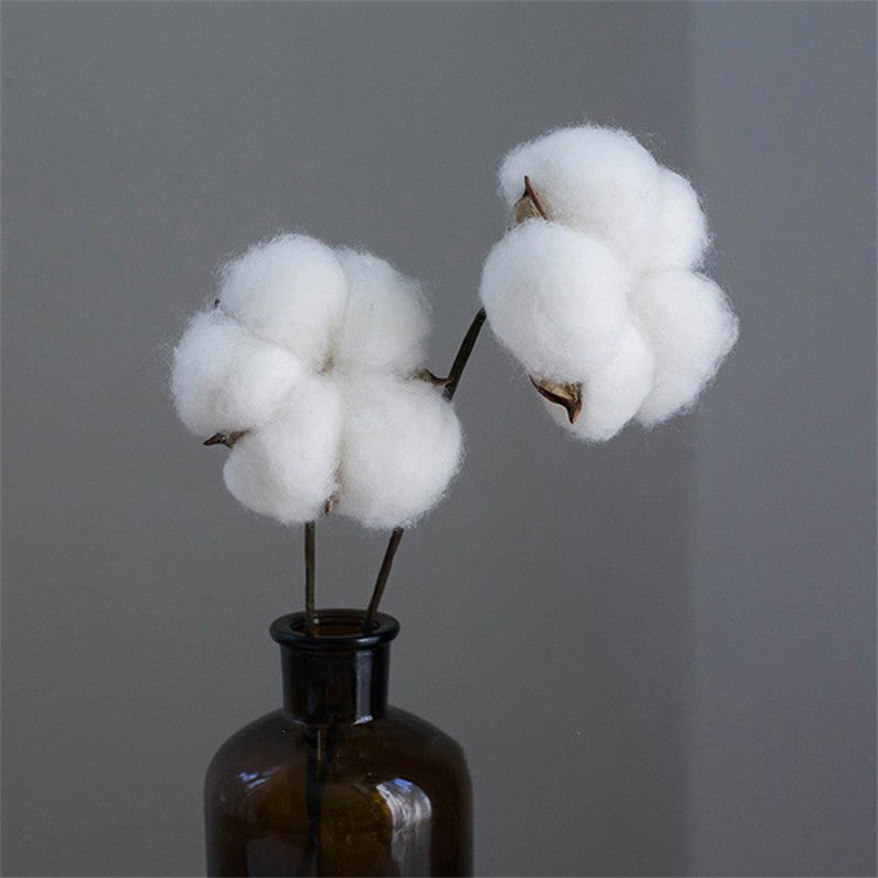 Pampas Grass Thinker Cotton Flower Dried Cotton Stems Farmhouse Naturally Artificial Flower Picks Natural Cotton Balls No Vase