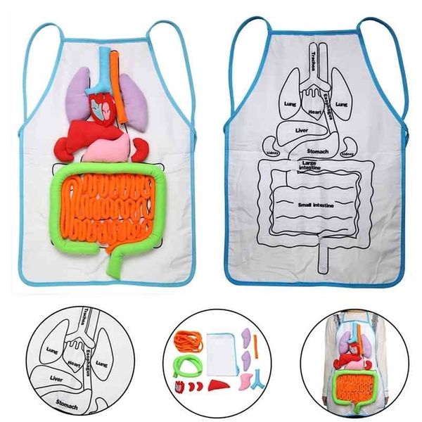 Anatomy Apron Human Body Organs Awareness Educational Insights Toys Preschool Home Teaching Aids For Children Kids 210629