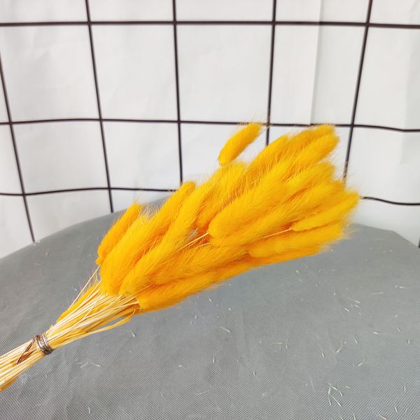 60 Head Natural Dried Flower Bouquet Rabbit Tail Grass Artificial Plants Setaria Wedding Home Decoration Real Floral