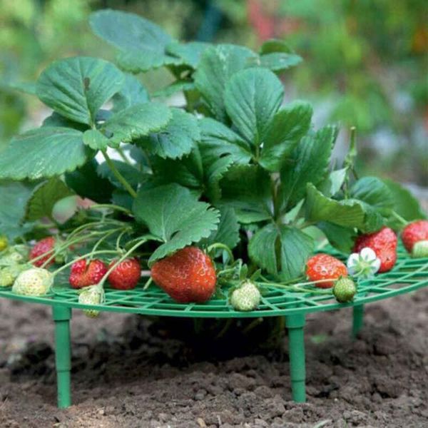 Garden Supplies Plant climbing pergola balcony potted vegetable gardening bracket strawberry planting bracket