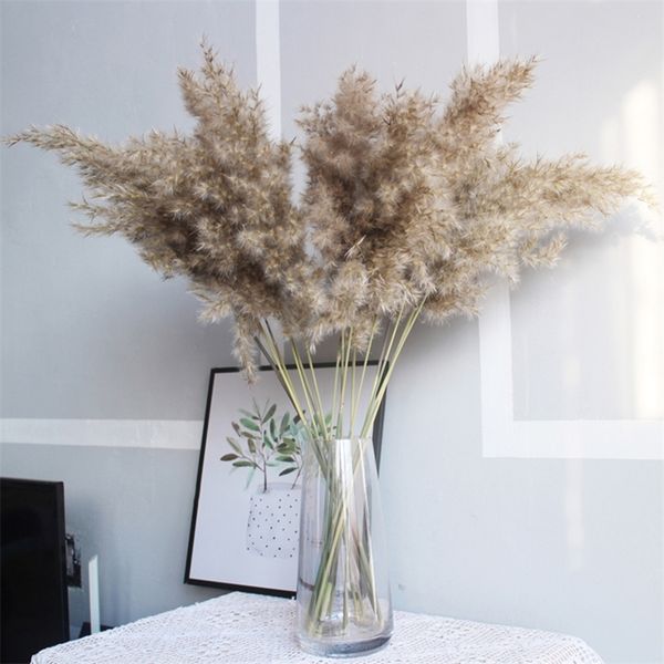 50Pcs Natural Dried Small Pampas Grass Phragmites Artificial Flowers Plants Party Christmas Home Decoration Accessories 210317