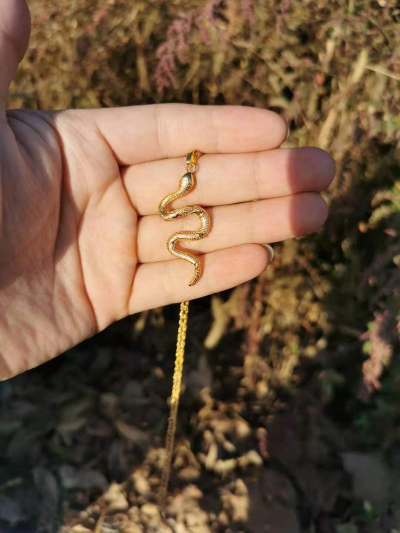 Hip Hop Snake Necklace For Women Men Collares Stainless Steel Animal Pendant Punk Choker Jewellery Bijoux Femme Necklaces